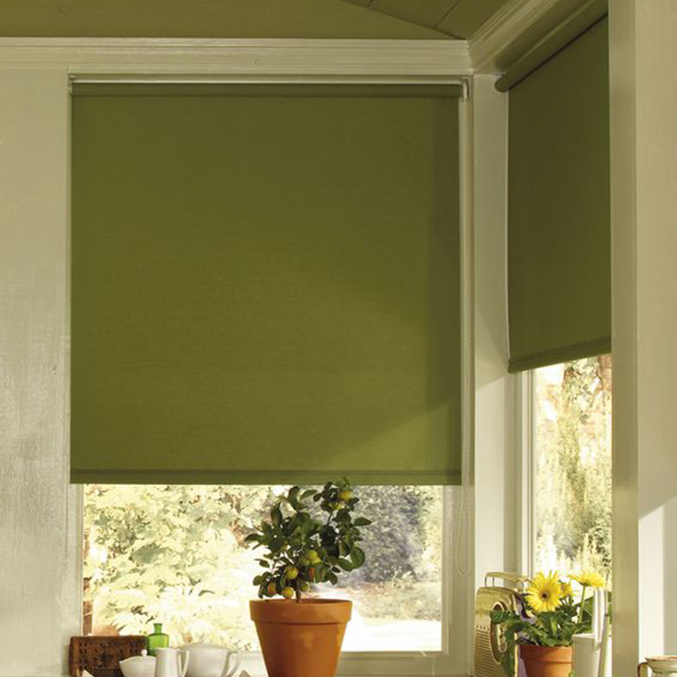Roller Shades gallery image 6