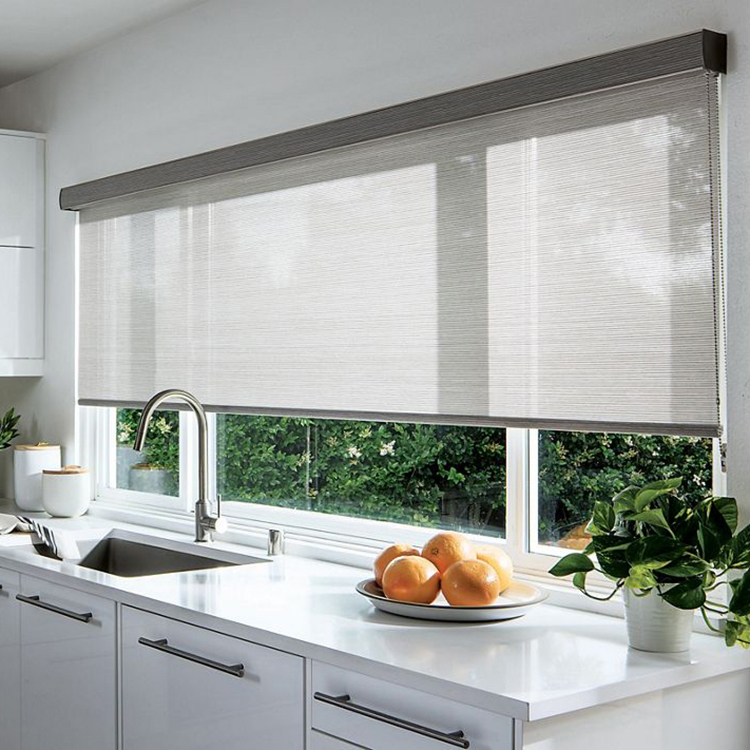 Roller Shades gallery image 5