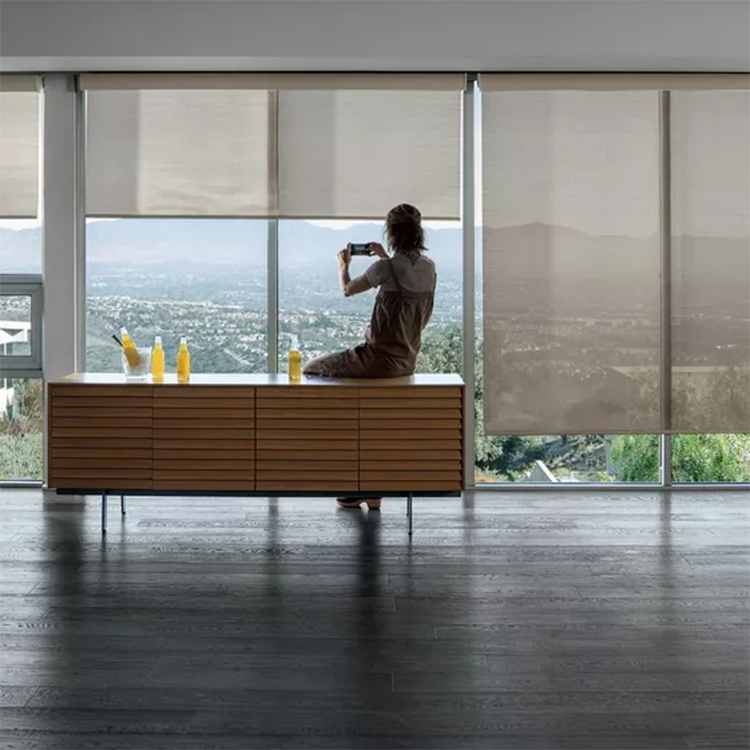 Roller Shades gallery image 2