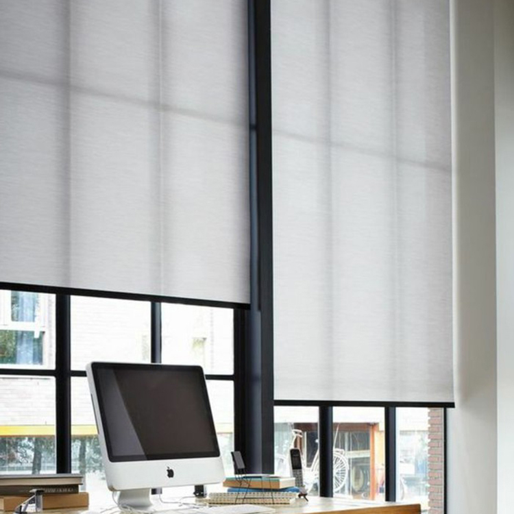 Roller Shades gallery image 4