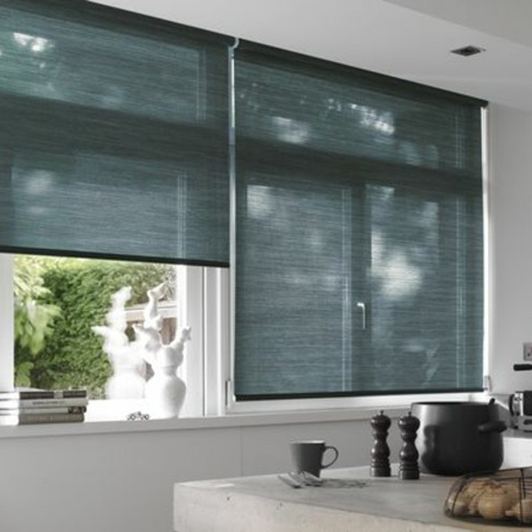 Roller Shades gallery image 3